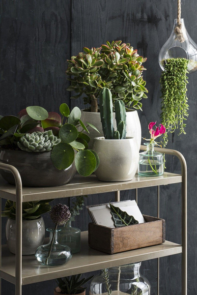 Lester 24/22 szara osłonka ceramiczna z połyskiem