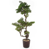 Sztuczne drzewko wysokie Bonsai Modrzew Larch 155 cm