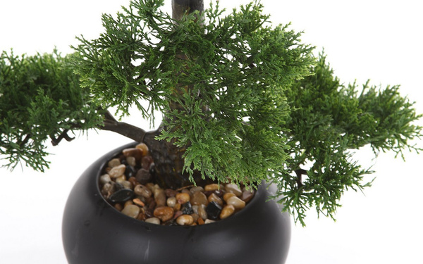 Sztuczne drzewko Bonsai Cedr 48 cm w czarnej doniczce