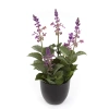 Sztuczna szałwia fioletowa 28 cm w doniczce
