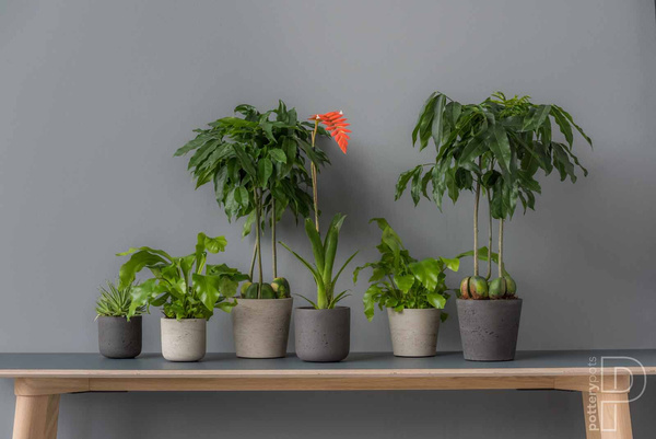 Charlie XS 12/11,5 biała doniczka walec