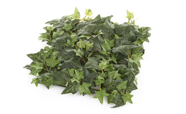 Sztuczna zielona ściana mata Bluszcz 30x30 zielony