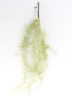 Sztuczna Oplątwa Tillandsia pnącze wiszaca 85 cm szara