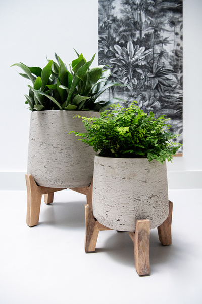 Feet Low S 29,5/15 niskie drewniane nóżki pod doniczkę