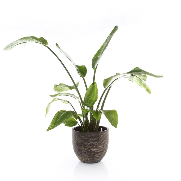 Carrie 39/36 donica ceramiczna brązowa tekstura