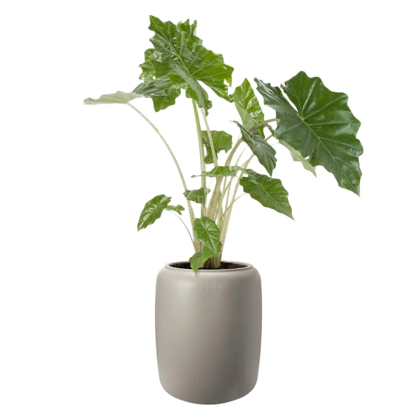 Amber Beads Medium 39/48 beżowa designerska donica do domu