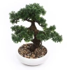 Sztuczne drzewko Bonsai Fikus mini 37 cm w białej doniczce