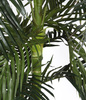 Sztuczna palma Areka 220 cm rozpiętość 130 cm
