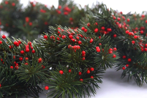 Sztuczna Jodła z jagodami girlanda długa 192 cm