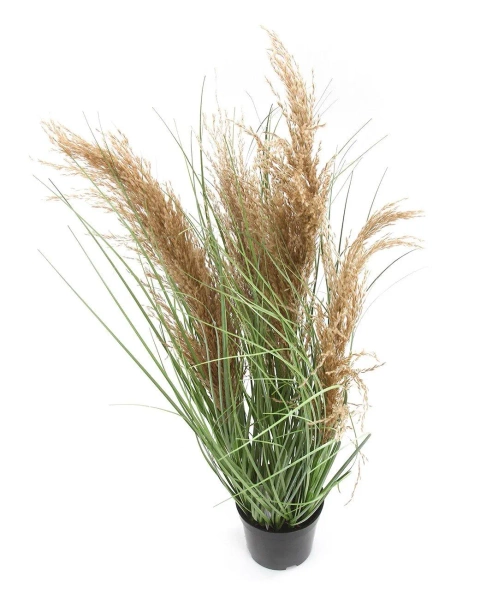 Sztuczna trawa trzcinowa gęsta 75 cm w doniczce