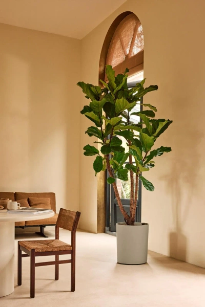 Eden Aquacare Medium 40 designerska donica soft taupe system samonawadniający