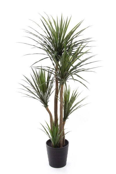 Sztuczna Dracena 160-170 cm