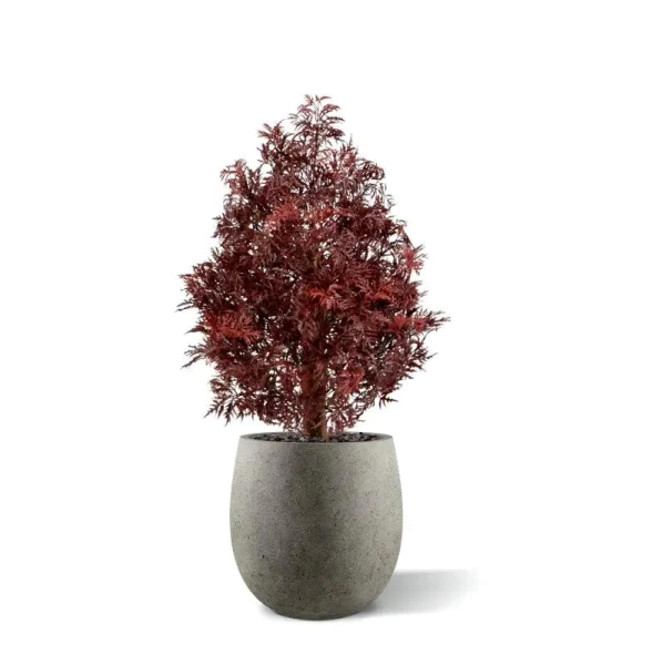 Sztuczna Aralia Ming 90 cm burgund UV