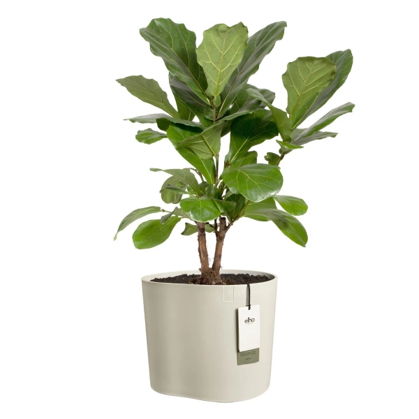 Eden 35 donica w nieregularnym kształcie linen white