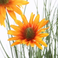 zielony / pomarańczowy