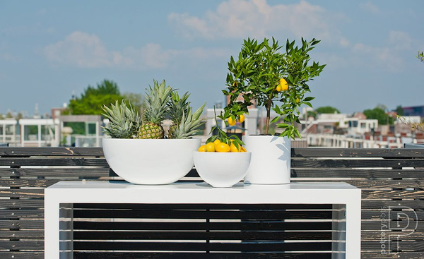 Puk M 20/20 doniczka cylindryczna biała matowa