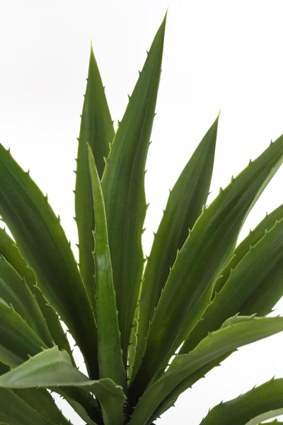 Sztuczna Agawa 70 cm zielona Weatherproof UV