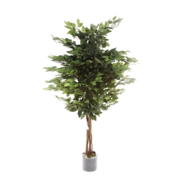 Sztuczny Fikus 150 cm naturalny drewniany pień