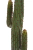 Sztuczny Kaktus Mexican 125 cm