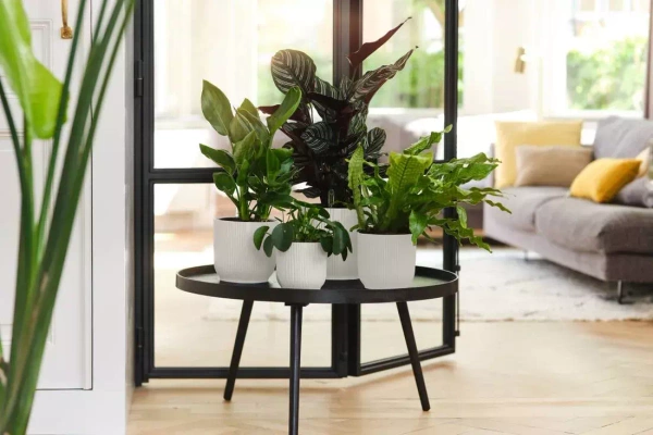 Zestaw do hydroponiki 15/12 osłonka Vibes 16 biała wkład wskaźnik