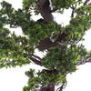 Sztuczne drzewko Bonsai ZEN 75 cm