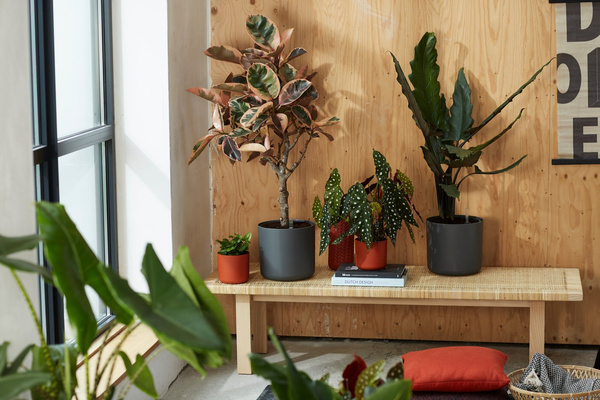 B. For Soft Round 22 osłonka grafitowa