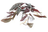 Sztuczna Begonia maculata wisząca pnącze 115 cm