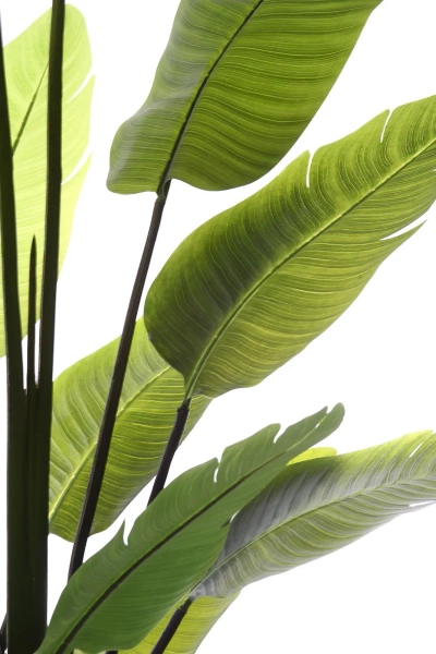 Sztuczna Strelicja nicolai wysoka 235 cm 18 liści