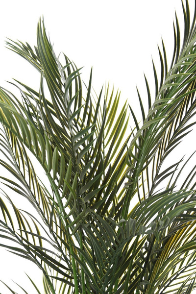 Sztuczne palma Areka 160 cm