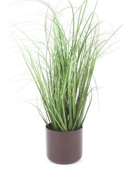 ONO 11/10 osłonka cylindryczna brązowa rust