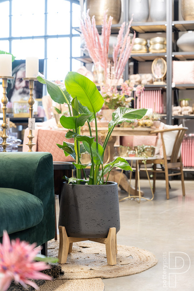 Patt XL 28/29 czarna osłonka na niskich nóżkach