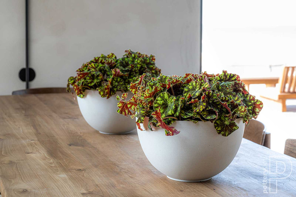 Peter S 20/12 doniczka misa kamienna beżowa biała naturalna