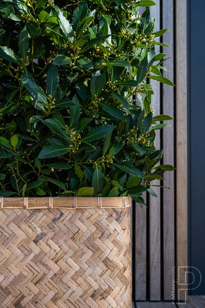 Rafi M 80x40/41 prostokątna osłonka bambusowa