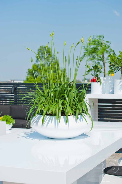 Tara XS 30/12 płaska osłonka biała połysk