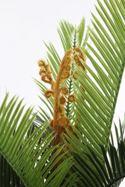 Sztuczna palma Cykas 150 cm 2 pnie