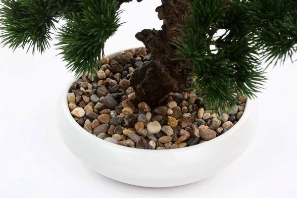 Sztuczne drzewko Bonsai Pinus Sosna 37 cm w białej doniczce