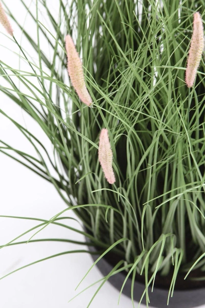 Sztuczna trawa pennisetum zielona w niskiej doniczce 60 cm