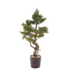 Sztuczne drzewko Bonsai Modrzew Larch 125 cm