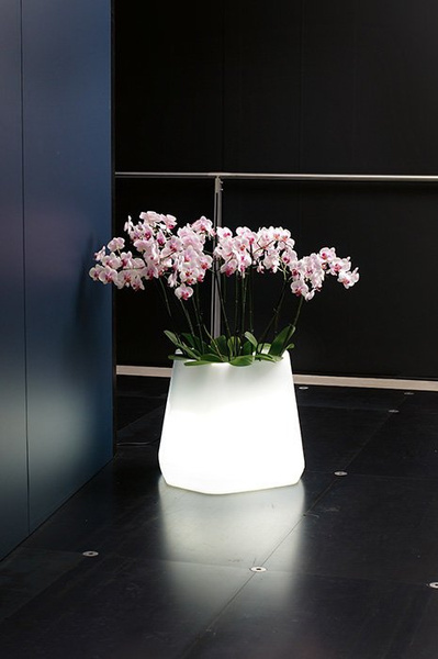 OPS Medium 56x49/43 donica niska podświetlana LED biały zimny