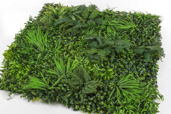 Mata zielona ściana Forest 100x100 cm mix z roślin leśnych