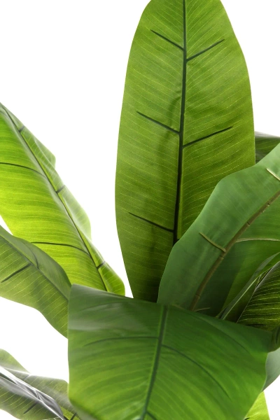 Sztuczny Bananowiec 180-200 cm