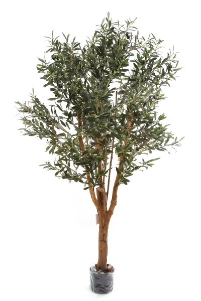 Sztuczna Oliwka 180 cm deluxe
