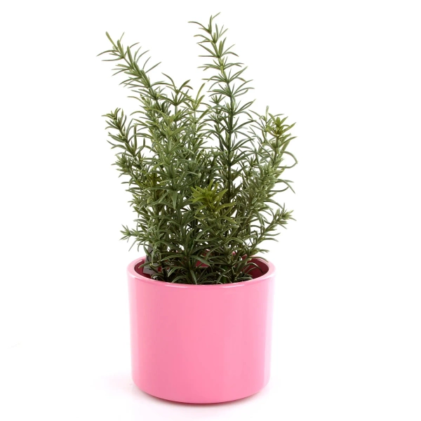 Era 19/17 osłonka walec różowa