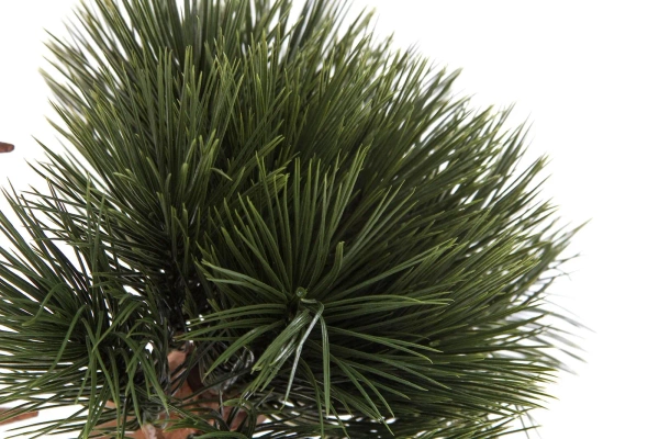 Sztuczny Bonsai Pinia Sosna 55 cm