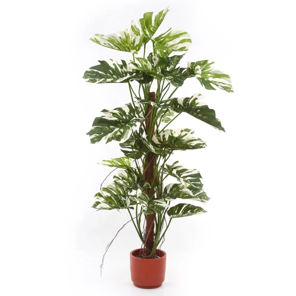 Sztuczny Filodendron na pniu 160 cm biało-zielony