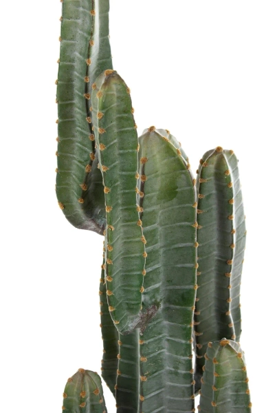 Sztuczny Kaktus Cereus 115 cm rozgałęziony