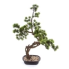 Sztuczny Bonsai Sosna Pinia 70 cm