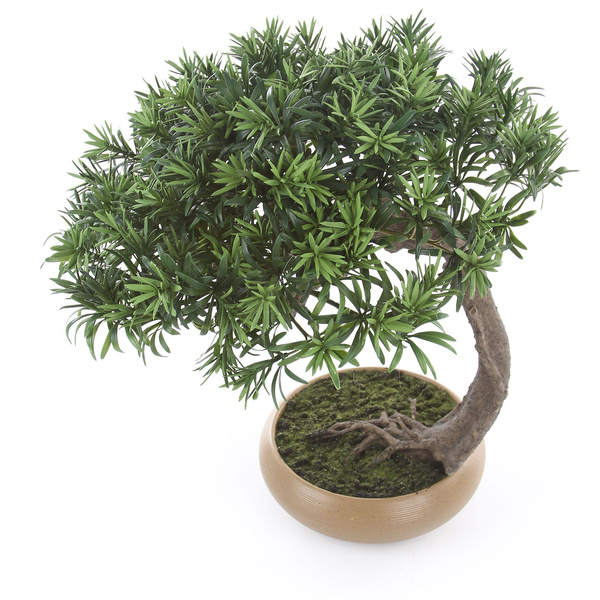 Sztuczny Bonsai Podocarpus Shankan 60/50 cm