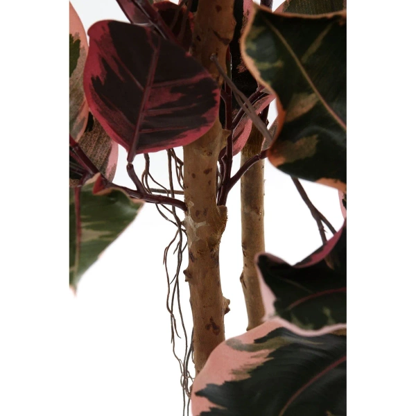 Sztuczny Fikus Elastica red ruby 170 cm, 93 liście