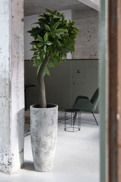 Dax XL 40/97 wysoka donica biel cesarska / imperial white